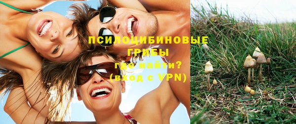 прущая мука Нея