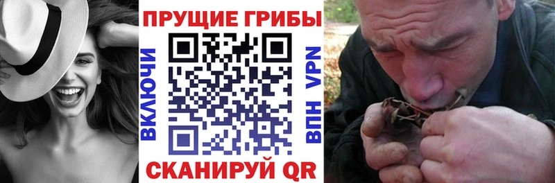 Псилоцибиновые грибы Cubensis  Купить закладки  Обь 