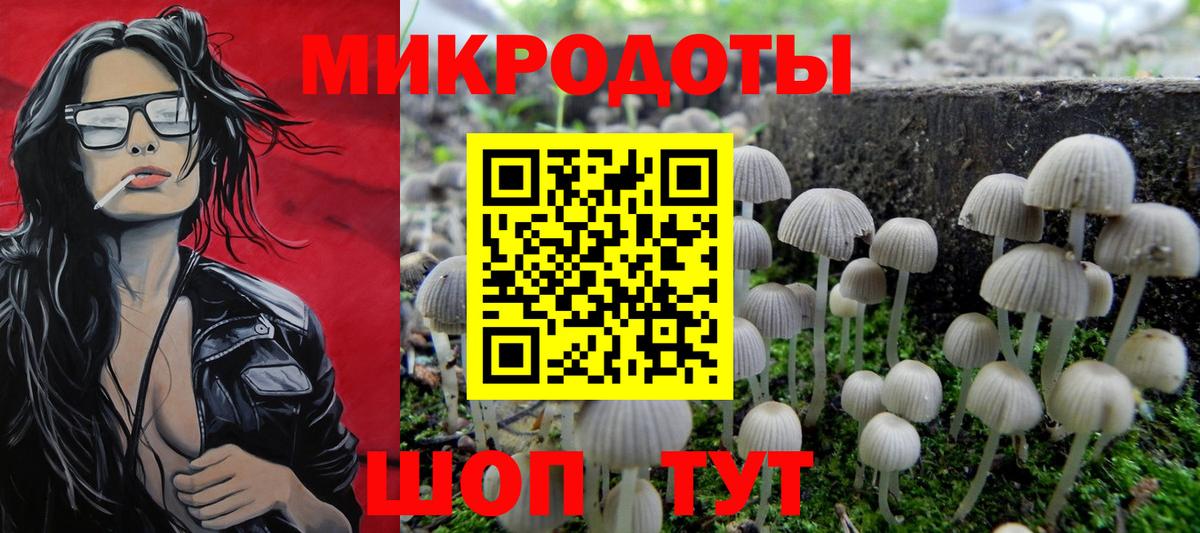 Обь  Псилоцибиновые грибы Cubensis  Вход с VPN 