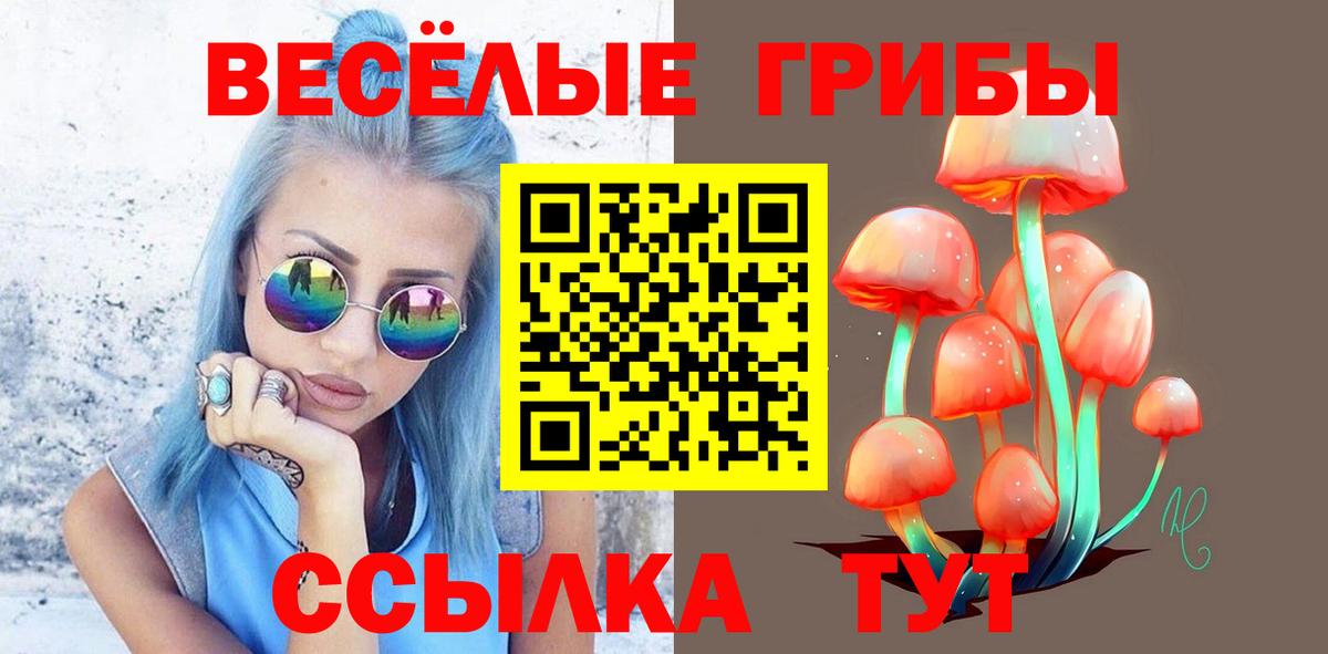 Галлюциногенные грибы Psilocybe Обь