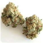 Шишки "White Widow"  (Белая вдова)  Гидропоника -  Бошка VHQ в Оби